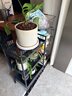 美乐棵 天南星科营养土养花花肥园艺种植土花土肥料盆栽绿植专用土壤8L 实拍图