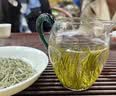 陈一凡兰妃茶 特级八窨新茶四川蒙顶山兰香型浓香绿茶花茶茶叶袋装250g 实拍图
