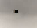 闪迪（SanDisk）256GB TF(MicroSD)内存卡4K极速金卡 A2 V30 U3 兼容大疆Pocket 4/Action 6运动相机 无人机存储卡 实拍图