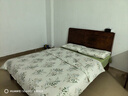 洁丽雅（Grace）7A抗菌100%纯棉四件套新疆棉床上用品床单被套200*230cm1.5/1.8米床 实拍图