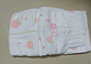 好奇（Huggies）铂金装小桃裤拉拉裤XL64片(12-17kg)加大号尿不湿【透爽散热】 实拍图