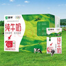 蒙牛全脂纯牛奶250ml*16盒 牛奶年货礼盒 电商定制 实拍图