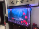 疯狂石头硝化细菌养鱼用品鱼缸活性菌有益菌硝化细菌净化水质1L 实拍图