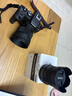 适马（SIGMA）56mm F1.4 DC DN｜Contemporary 半画幅大光圈定焦镜头 人像特写（佳能RF卡口） 实拍图