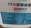 75%酒精消毒液家用医用级免洗乙醇杀菌喷雾清洁护理家用日常清洁 【实惠套装】500ml*2瓶 晒单实拍图