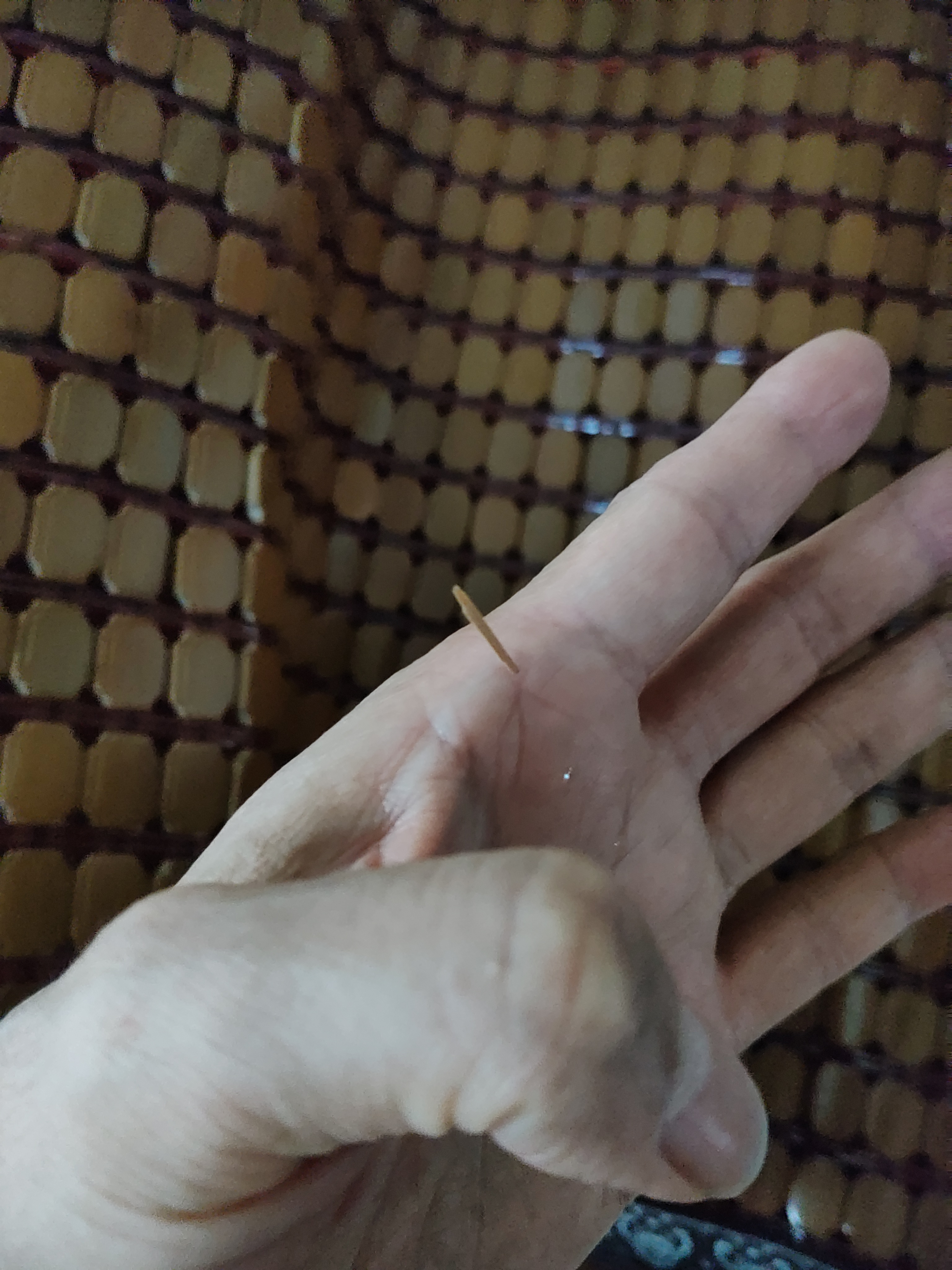 钟爱一生麻将凉席沙发垫坐垫夏季防滑沙发罩竹席凉垫金龟子55*55cm双牛筋 实拍图