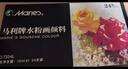 马利(Marie's)水粉颜料盒装12色12ml调色盘洗笔桶水粉纸画笔套装写生绘画水粉画颜料套装美术写生 实拍图
