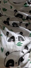 贝瑞加（Babyprints）婴儿衣服2件装新生儿连体衣短袖宝宝哈衣纯棉薄款爬服 粉黄73 实拍图