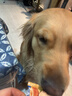 朗亲狗粮肉粒双拼拉布拉多边牧德牧成犬专用通用型狗干粮20kg 实拍图