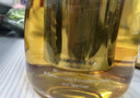 金灶（KAMJOVE）泡茶壶飘逸杯 耐热玻璃茶具功夫办公室花茶壶 茶水分离杯茶壶家用 A-19加长滤篮 750ml 实拍图