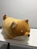 名创优品（MINISO）柴犬系列毛绒公仔趴姿玩具娃娃抱枕睡觉卧室办公室午睡枕生日礼物 实拍图