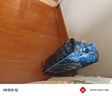 babycare皇室狮子王国弱酸纸尿裤中号M50片(6-11kg)婴儿尿不湿亲肤透气 实拍图