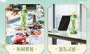 康师傅 冰红茶330ml*12瓶 柠檬红茶饮料饮品轻巧装整箱 热门商品 实拍图