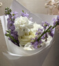 骆驼山海夹克外套男女潮流防风休闲运动户外登山服春秋季M13CA6V040 实拍图