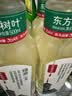 农夫山泉东方树叶绿茶500ml*15瓶无糖茶饮料0糖0脂0卡整箱装饮品 实拍图
