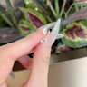 芯奢S999足银星月耳钉女士小众设计拧扣儿童养耳洞免摘耳骨钉耳饰纯银 S999足银星月单只 实拍图