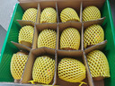 佳沛（zespri）新西兰 阳光金奇异果12粒特大果单果124-146g 猕猴桃水果礼盒 实拍图