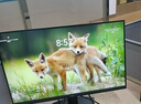 戴尔成就 新款 高性能台式电脑主机(14代i5-14400 16G DDR5高速内存 512GB)23.8大屏 商用办公学习 实拍图