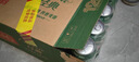 青岛啤酒（TsingTao）经典拉格 550ml*18罐 加量不加价 整箱装 实拍图
