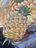 佳能（Canon）r100 微单相机 入门级 旅游家用学生vlog视频 4k 小巧便携半画幅 eosr100 佳能相机 R100套机+永诺50F1.8 II 套餐一【卡/包/电池/R100宝典等】 实拍图