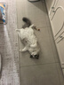 固特（GUTE）卫生间门锁室内卧室门锁无钥匙厕所浴室洗手间房门锁拉丝色通用款 实拍图