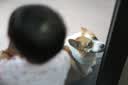 铭匠50f1.8 L卡口镜头全画幅大光圈铭匠AF50mm f1.8neo自动对焦851.8 neo 名匠50neo适用索尼E口 尼康Z AF 50mmF1.8 索尼E卡口 套餐一【加配UV+ND】 实拍图