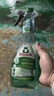 Frosch玻璃/镜面专业清洁喷剂  玻璃水雨刮水 玻璃液500ml 德国原装进口 实拍图