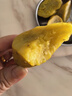 正宗黄心板栗红薯新鲜沙地蜜薯粉糯香甜宝宝辅食直播间京东包邮 板栗红薯 5斤 含箱 中大果（单果3两起） 实拍图