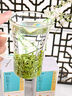 福茗源茶叶 碧螺春绿茶 花果香浓香型明前2026新茶特级春茶嫩芽罐装100g 实拍图