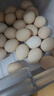 京鲜生 无抗保洁鲜鸡蛋30枚/盒 健康轻食 礼盒送礼 1.5kg/盒 源头直发 实拍图