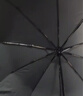 天堂伞 全自动雨伞三折 10骨加固一键开收易甩干简约商务自动伞 冷山绿 实拍图