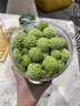 南同九坊南京同仁堂 西藏绿萝花茶100g 实拍图