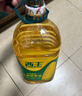 西王 食用油 玉米胚芽油 4L 非转基因物理压榨 实拍图