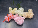 莫森（MOSEN）MS-29机械节拍器 钢琴小提琴吉他古筝调音器通用节奏节拍器 黑色 实拍图