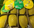 佳沛（zespri）新西兰 阳光金奇异果12粒特大果单果124-146g 猕猴桃水果礼盒 实拍图