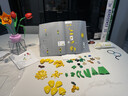 乐高（LEGO）积木11501 郁金香花束男女孩玩具六一儿童节礼物家居装饰摆件 实拍图