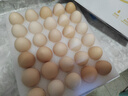 京鲜生【供港品质】【每日鲜蛋】无抗谷物鸡蛋30枚3.78斤当日产蛋当日发 实拍图