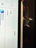 Apple/苹果 Pencil Pro 磁吸触控笔手写笔苹果笔电容笔书写绘画ipad笔 适用于iPad Pro/Air/mini机型 实拍图