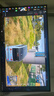 AOC爱攻7pro 27英寸2K540Hz/HD1000Hz 千帧双模FastIPS DP2.1硬件低蓝 迅猛龙 FPS电竞显示器AGP277QK 实拍图
