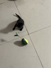 HELLOJOY猫玩具自嗨解闷逗猫棒不倒翁漏食球猫薄荷宠物猫玩的猫咪用品大全 实拍图