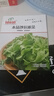 ldeal理想农业 水晶沙拉冰菜种子四季盆栽农家蔬菜种籽水晶冰草菜种子 实拍图