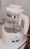小壮熊恒温水壶婴儿 恒温壶调奶器 保暖热烧水壶温热暖奶器冲奶电热水壶 实拍图