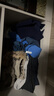 京东洗衣服务衣鞋任洗6件上门取送 干洗服务水洗去渍熨烫杀菌 实拍图