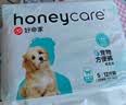 HONEYCARE好命家 狗狗纸尿裤公狗尿不湿生理裤XS12片12包 实拍图