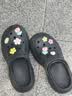 范爷家洞洞鞋配饰女可爱少女心diy鞋花10颗装适配crocs鞋扣立体装饰配件 实拍图
