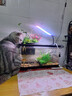 普安特宠物猫咪洗耳液耳螨狗狗滴耳液猫耳朵清洁耳垢臭痒漂护理液尔加分 实拍图