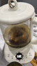 小熊（Bear）【价保618】养生壶煮茶壶煮茶器 多功能保温一体烧水壶恒温水壶 316L母婴级煮水壶 1.5L YSH-E15M1 实拍图
