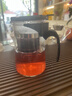 飘逸壶泡茶壶耐热高温玻璃沏茶过滤内胆冲茶器家用茶具套装 飘逸杯500mL1个 实拍图