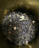 乐品乐茶茉莉花茶茶叶特级川派横县飘雪浓香绿茶新茶袋装250g自己喝送礼袋 实拍图