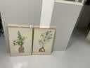 猫九酱现代简约餐厅装饰画奶油风餐桌背景墙挂画轻奢高级感饭厅组合壁画 实拍图